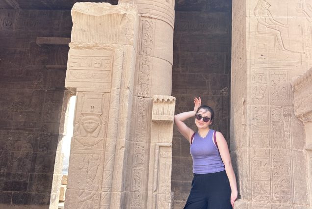 Tour Philae Temple and Aswan Highlights Day Tour