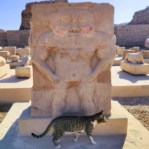 The Cheerful Guardian: How the Ancient Egyptian God Bes Still Lives in Today’s 'Besbes' for Cats 1 IMG 1460